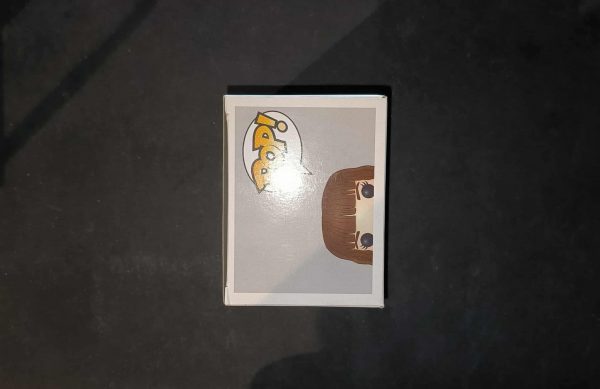 608841440_769362498785090_8267381309510288508_n Figurine Funko Pop / Hermione Granger N°03 / Harry Potter